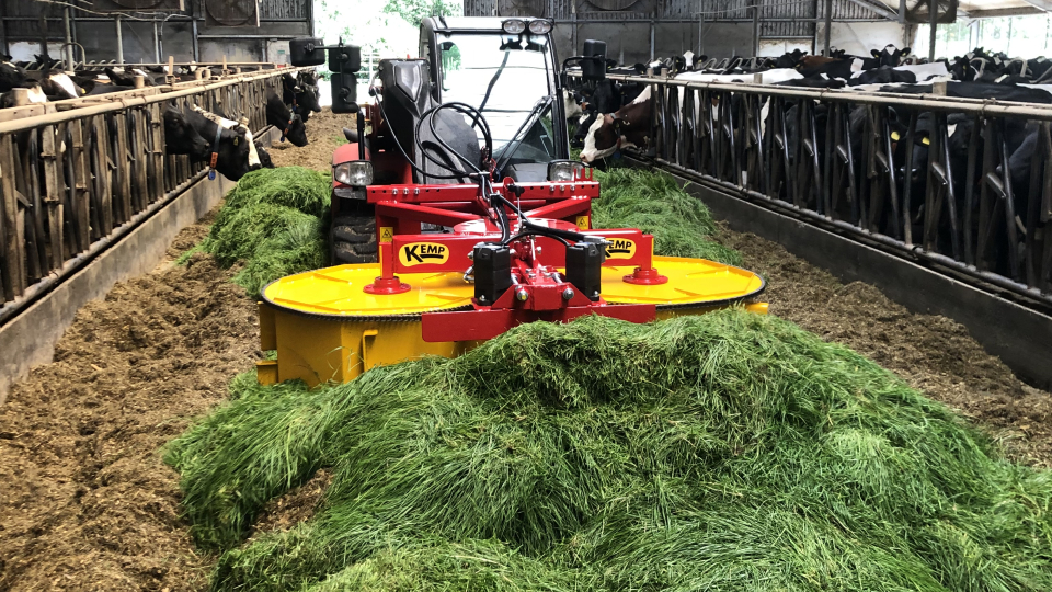 Thumbnail of Grass Divider
